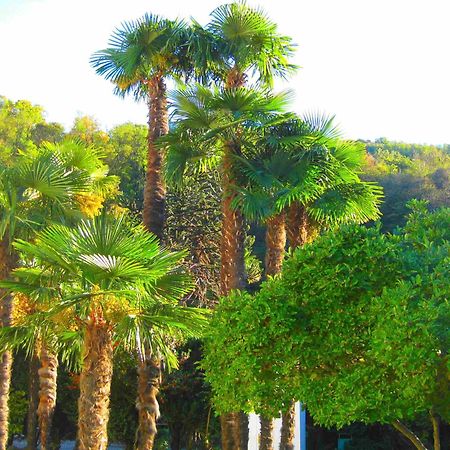 Villa Garni Gardenia كاسلانو المظهر الخارجي الصورة