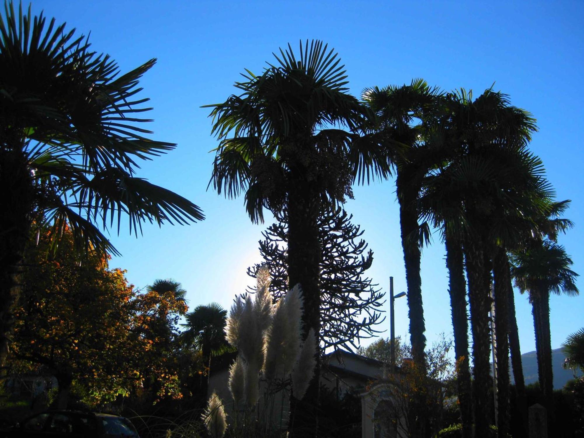 Villa Garni Gardenia كاسلانو المظهر الخارجي الصورة