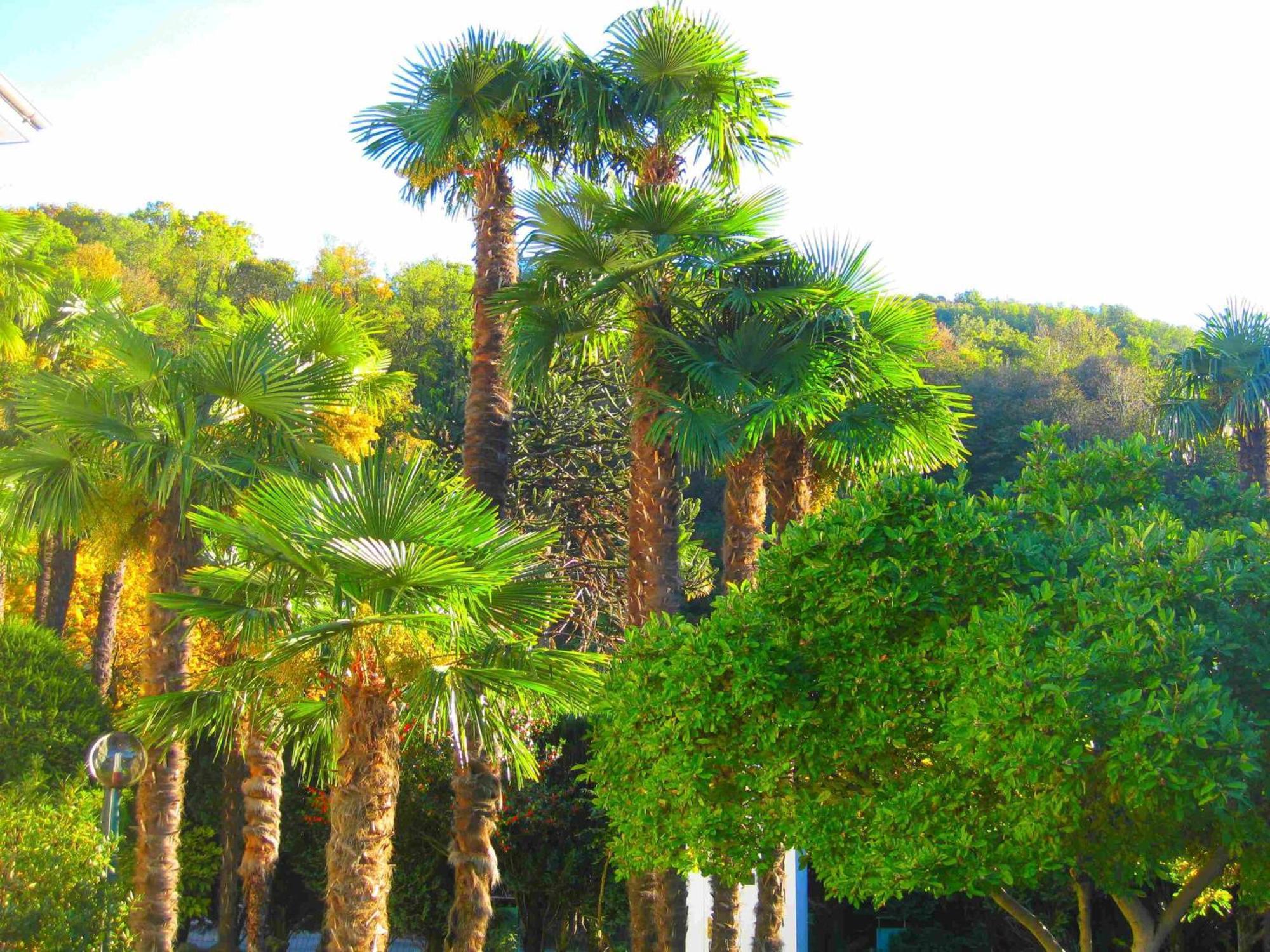 Villa Garni Gardenia كاسلانو المظهر الخارجي الصورة